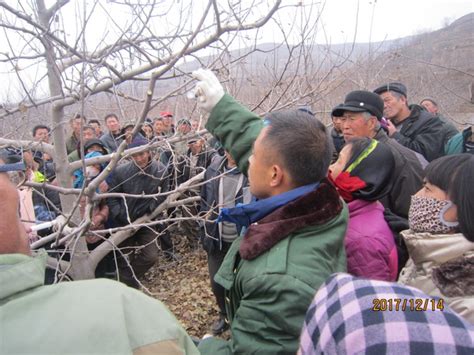 林果花卉研究所在通渭县开展“三区”人才专项技术培训 甘肃省农业科学院 林果花卉研究所