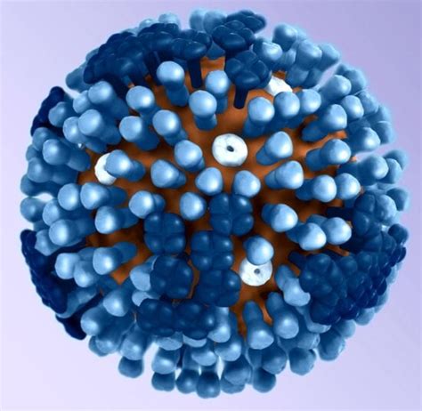 Free picture: flu, contagious, respiratory, illness, influenza, viruses ...