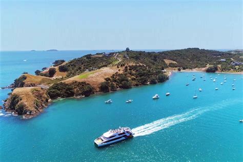 Waiheke Island Ferry And Hop On Hop Off Explorer Bus Tickets In Auckland