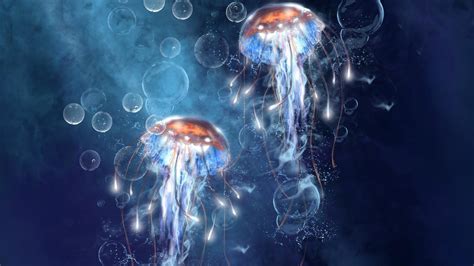 Fantasy art jellyfish wallpaper | (106486)