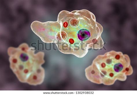 Entamoeba Gingivalis Protozoan 3d Illustration Amoeba Ilustración De Stock 1302938032