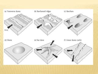 Wind / Aeolian landforms | PPT