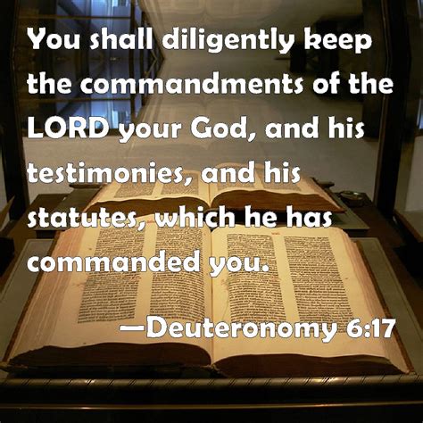 Deuteronomy 6 17 You Shall Diligently Keep The Commandments Of The LORD