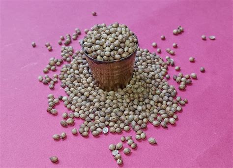 Grade Badami Brown Dried Coriander Seed Form Seeds At Rs Kg In Kanpur