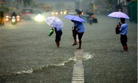 Imd Issues Yellow Alert Kerala Braces For Heavy Rain Till Friday