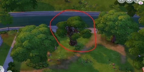 Скрытая локация Силван Глейд Sims 4