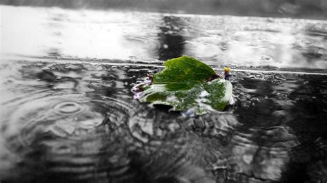 Das Wochenendwetter für Hessen Der Regen wird wärmer