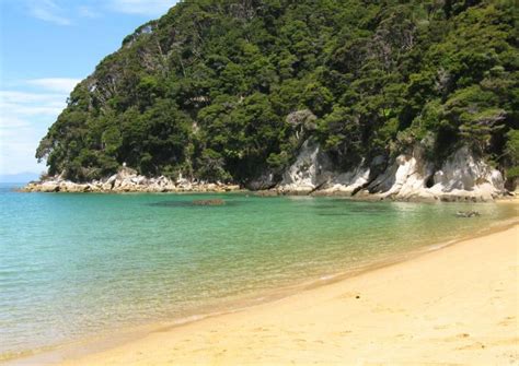 Abel Tasman Beach Photo Of Tasman Nelson New Zealand At Kiwiwise