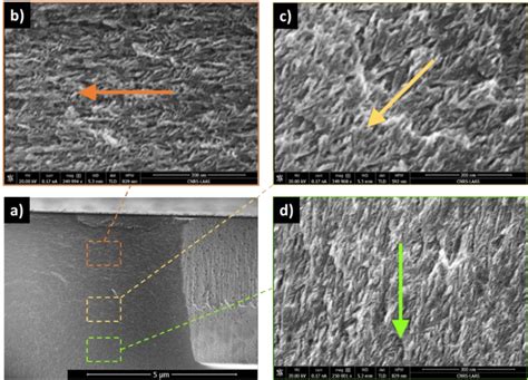 SEM Images Of The Cross Section View Of Different Regions Of The Same