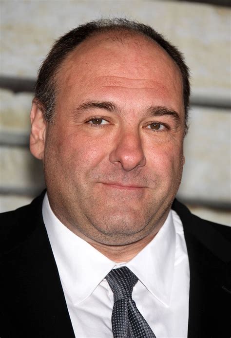 James Gandolfini The Sopranos Wiki Fandom