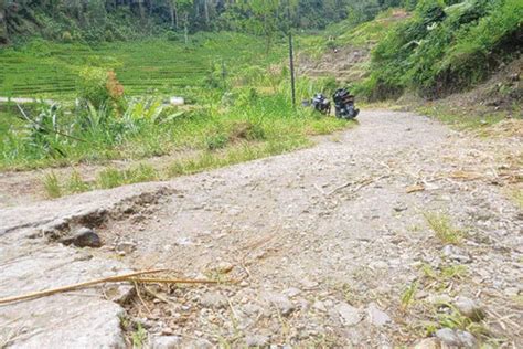 Jalan Nagari Menunggu Sentuhan Nyaris Tak Tersentuh Pembangunan