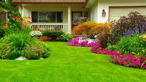 Renovate Your Lawn Lawn Care And Renovation