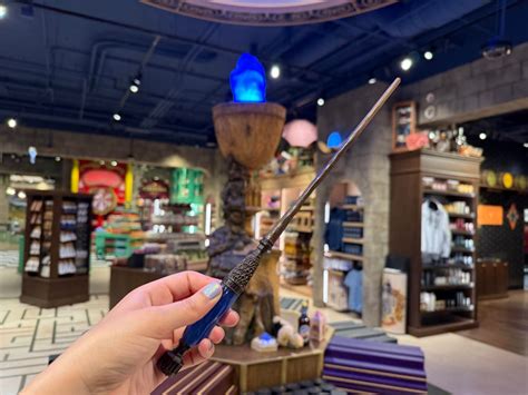 I Went to Chicago's New Harry Potter Shop: Magical Props, Exclusive ...