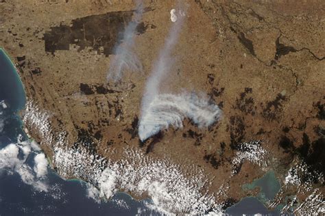 Bushfires Burn in Victoria - NASA Science