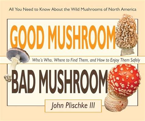 How To Tell If Shiitake Mushrooms Are Spoiled Signs Of Discoloration