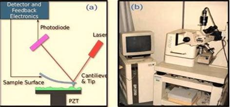 (a) principle of AFM, (b) image of AFM device | Download Scientific Diagram