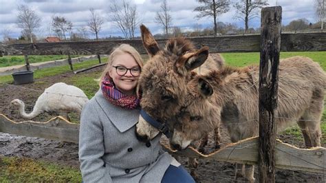 Lemelerveld Fotos Besondere Lemelerveld Provinz Overijssel Bilder