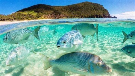 Wisata Pantai Di Pulau Belitung Tak Sekedar Indah Tapi Cocok Dijadikan