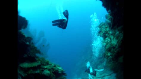 Roatan Deep Dive Hole In The Wall Youtube