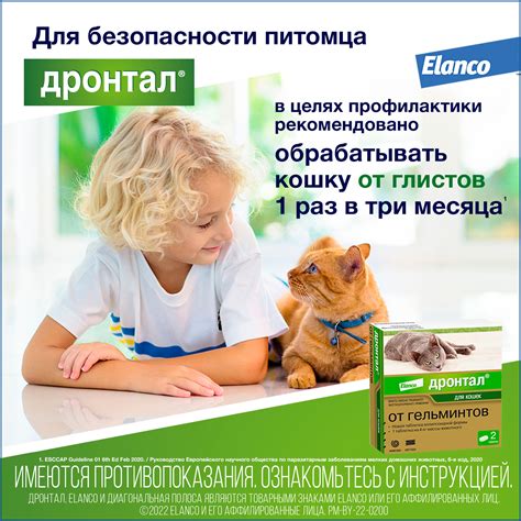 Антигельминтик для кошек Elanco Дронтал плюс 2таблетки купить по цене ...