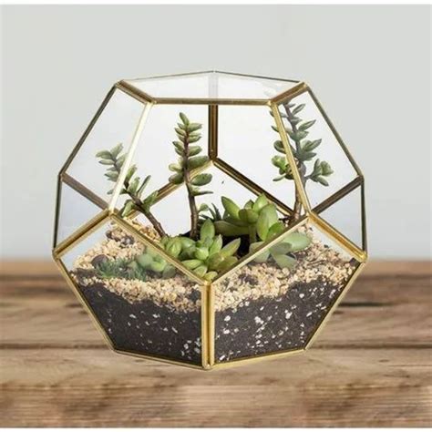 Terrariums In Mumbai टेर्रारियम मुंबई Latest Price And Mandi Rates From Dealers In Mumbai