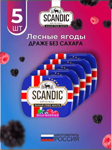 SCANDIC: купить товары бренда в интернет-магазине Wildberries