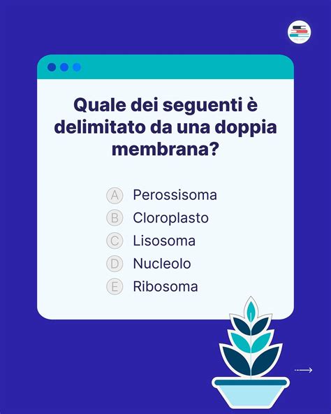 Pro-Med - Test di Medicina, Odontoiatria, Veterinaria e Prof. Sanitarie
