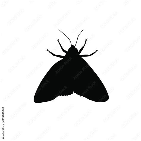 Vector Black Moth Silhouette Isolated On White Background Stock Vector