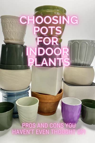 Indoor Plant Pot Types Great Choices W Pros Cons