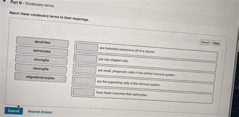 Solved Part B Vocabulary Terms Match These Vocabulary Terms Chegg