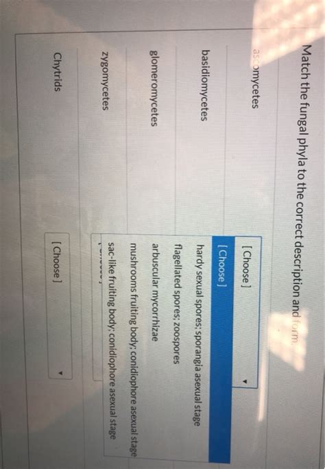 Solved Match The Fungal Phyla To The Correct Description And