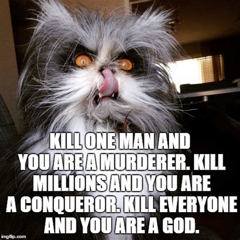 Evil Cat Memes - Imgflip