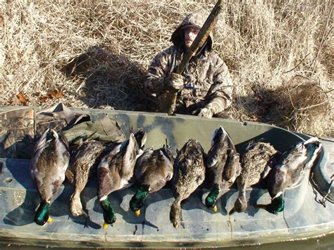 Guided Duck Hunts Trophy Guided Duck And Goose Hunts Pennsylvania Geese At Your Feet