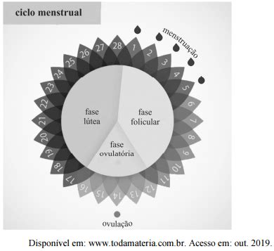 Aio A Figura A Seguir Ilustra O Ciclo De Vida De Um Verme Hot Sex Picture