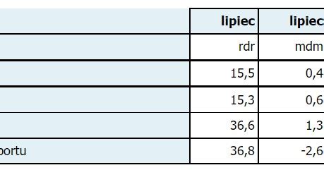 GUS opublikował szybki odczyt inflacji w lipcu 2022 r Biznes w