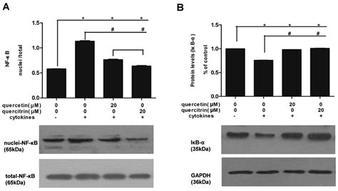 Quercetin And Quercitrin Protect Against Cytokine‑induced Injuries In