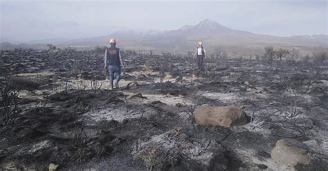 Arequipa Incendio forestal arrasa con 5 hectáreas de pastizales en