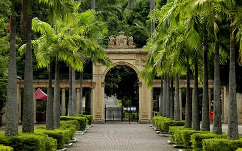 Conheça o BioParque do Rio Saiba Mais Sobre Ingressos e Dicas