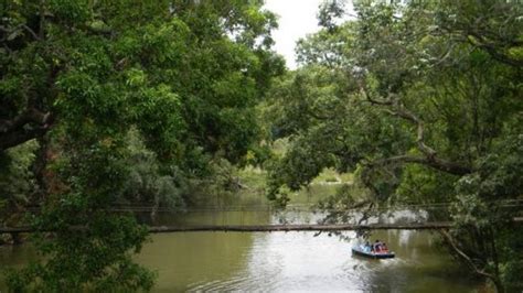 Nisargadhama - Coorg | Nisargadhama Photos, Sightseeing -NativePlanet