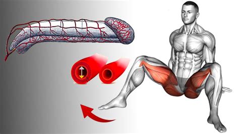 Male Pelvic Floor Exercises At Home To Increase Blood Flow To Your