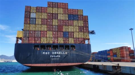 Msc Launches New Southeast Asia Uswc Service Container News