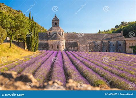 Lavender Fields with Senanque Monastery in Provence, Gordes, France ...