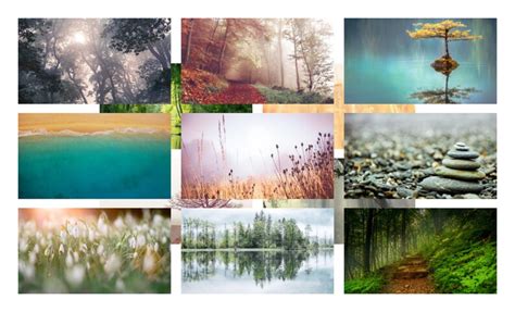 Zoom Background, Tranquil Nature Collection, Student Classroom, Online ...