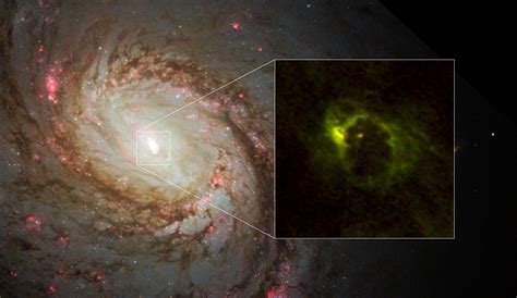 Alma Reveals Rotating Torus Around An Active Supermassive Black Hole