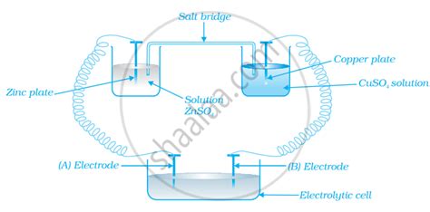 Electrochemical Cell Diagram