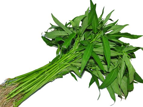 kangkong ban huat fruits vegetables sdn bhd