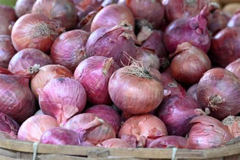 Onion Price Onion Farmers Stage Protest On Mumbai Agra Highway Over