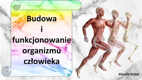 Budowa i funkcjonowanie organizmu człowieka w skrócie prezentacja