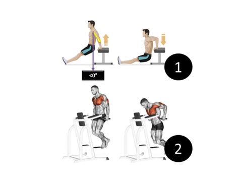 Mejores Ejercicios Para Tríceps Estimulando Sus 3 Cabezas