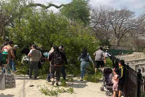 7 Injured After Tree Branch Falls on Guests at San Antonio Zoo